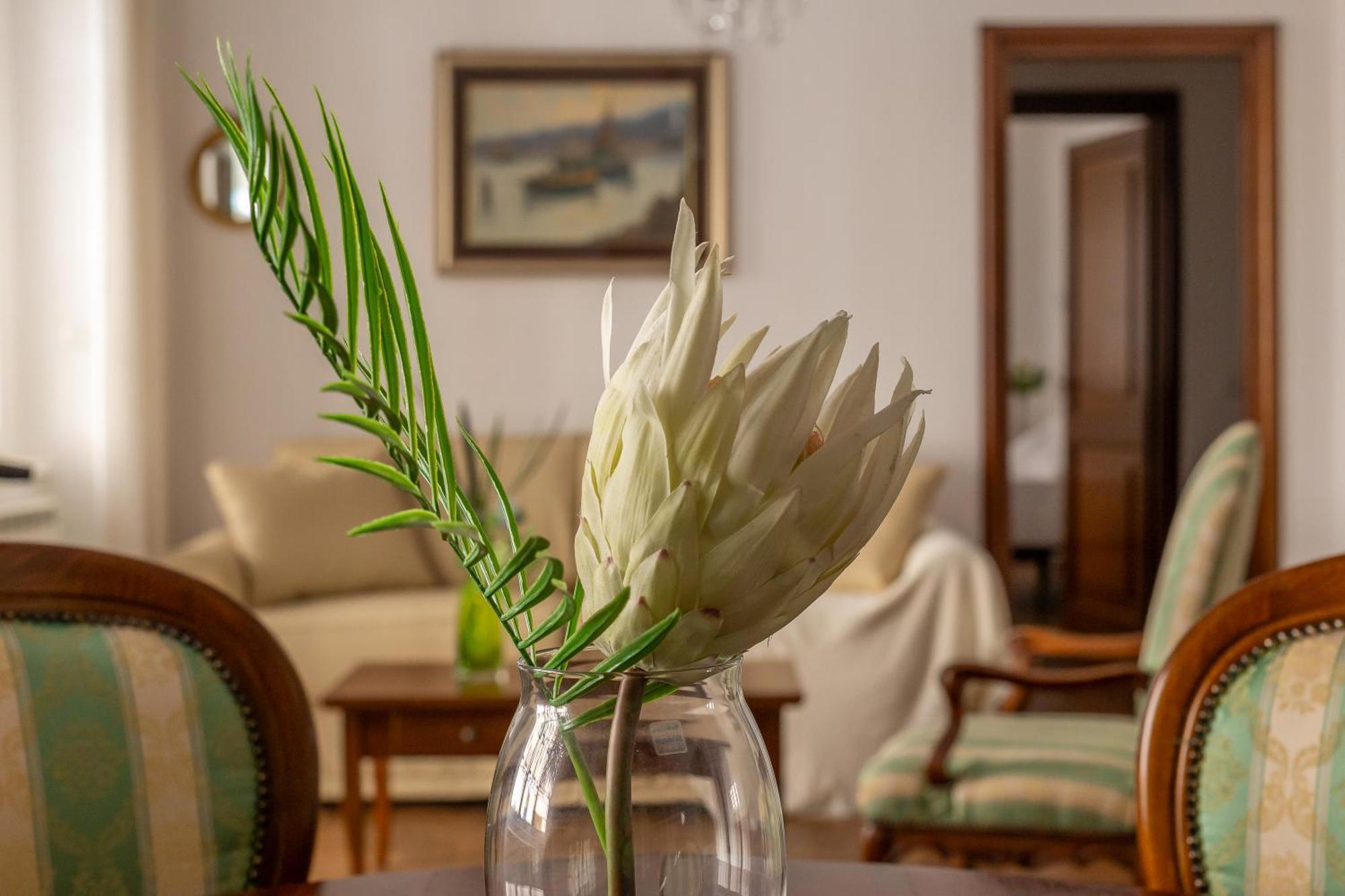 Iflat Vatican Spacious Apartment With Terrace 로마 외부 사진