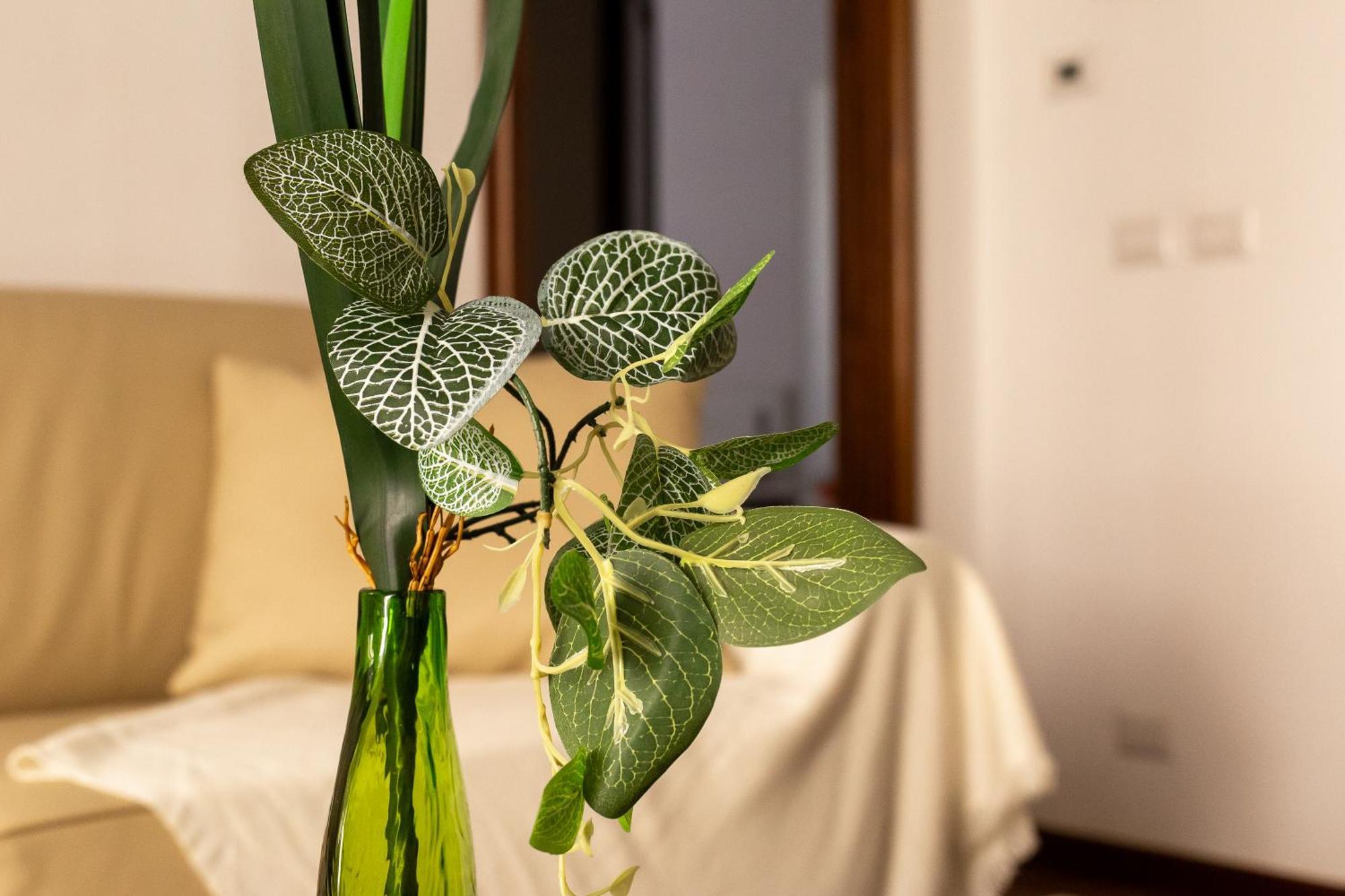 Iflat Vatican Spacious Apartment With Terrace 로마 외부 사진
